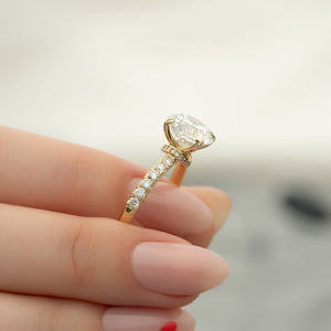 The Sofia Set With A 4 Carat Round Moissanite