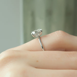 The Kamellie Set With A 4 Carat Oval Moissanite