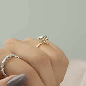 The Nelly Set With A 5 Carat Round Moissanite