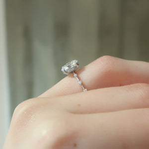 The Hidden Halo Penelope Set With A Oval Lab Diamond