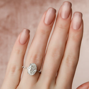The Hidden Halo Penelope Set With A Oval Lab Diamond