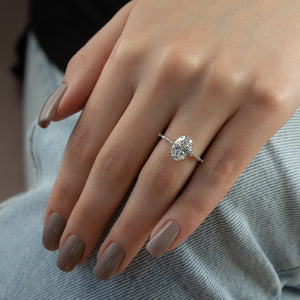 The Hidden Halo Penelope Set With A Oval Lab Diamond