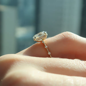 The Hidden Halo Penelope Set With A 2.5 Carat Oval Lab Diamond