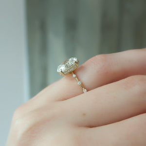 The Hidden Halo Penelope Set With A 2.5 Carat Oval Lab Diamond
