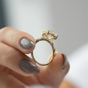 The Hidden Halo Penelope Set With A 1 Carat Round Lab Diamond