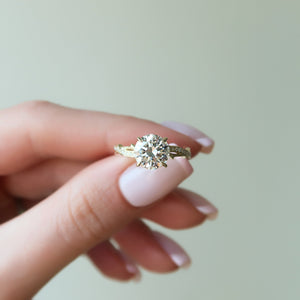 The Pave Twig Set With A Round Lab Diamond
