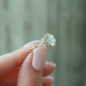 The Halo Stephanie Set With A Round Lab Diamond