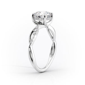 The Daisy Set With A 3 Carat Princess Moissanite
