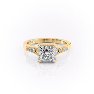 The Dianne Set With A 5 Carat Princess Moissanite