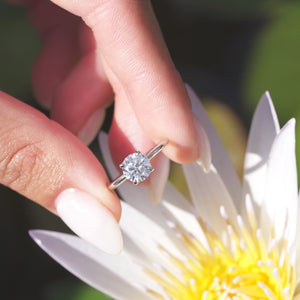 The Low Profile Kamelie - Engagement Ring Made in White Gold